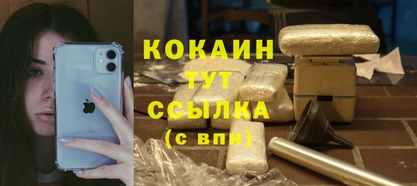 гидра Чегем