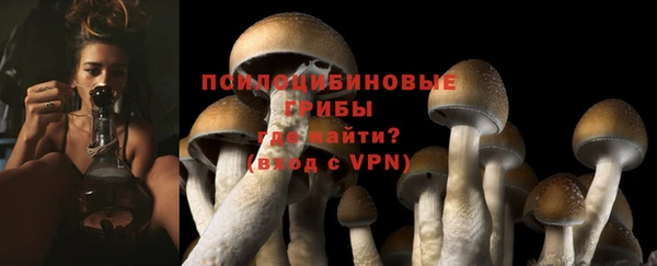мескалин Чердынь
