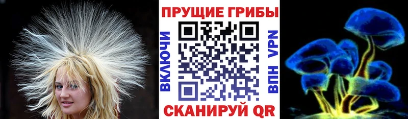 Псилоцибиновые грибы прущие грибы  хочу наркоту  Вязьма 