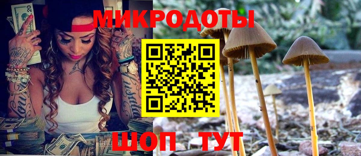 Псилоцибиновые грибы Psilocybine cubensis  Вязьма  Галлюциногенные грибы GOLDEN TEACHER 