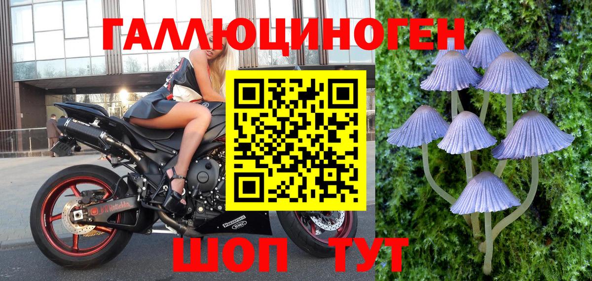 Псилоцибиновые грибы Magic Shrooms  Галлюциногенные грибы прущие грибы  Вход с VPN  Вязьма 